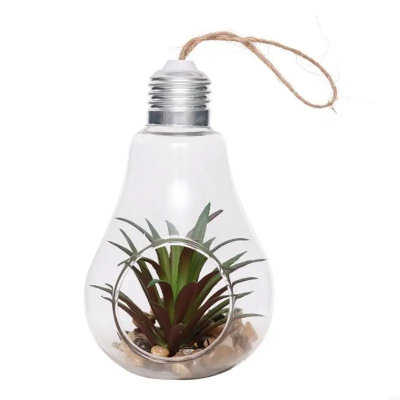 193B Light Bulb Shaped Gift Idea for Succulent Moss Tillandsias Air Plants Kitchen 4