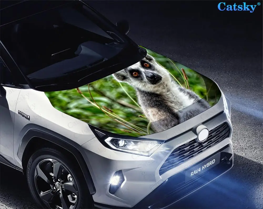 Фото Виниловые стикеры на капот автомобиля Lemur catta, виниловая пленка, наклейки на крышку двигателя, автомобильные аксессуары №4