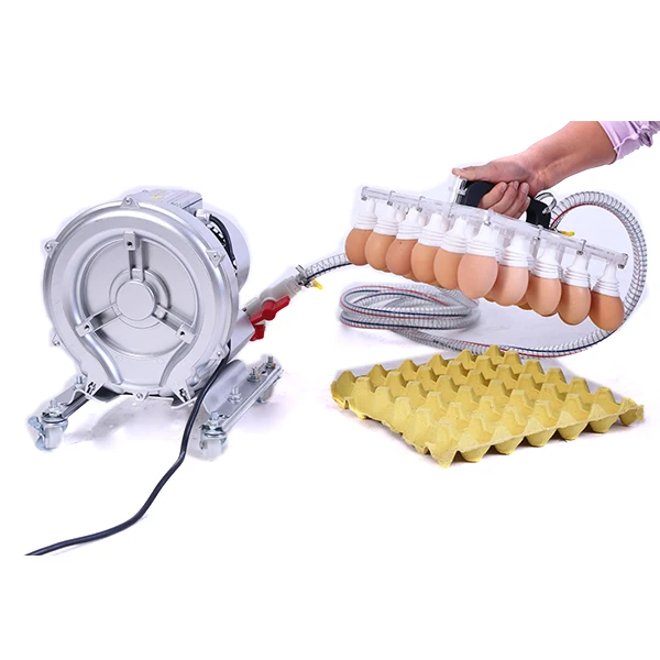 Automatic Incubator Tray Egg Feeding Machine