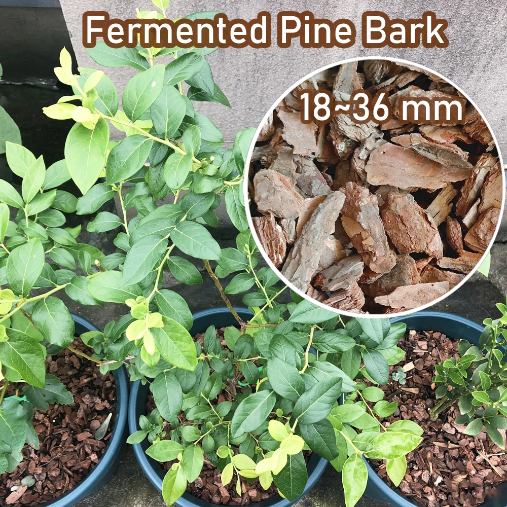 60 g Fermented Pine Bark 18~36mm plant fertilizer Decorate Bonsai Soil Moisturizing Help Plants Grow Healthily Organic Fertilizer