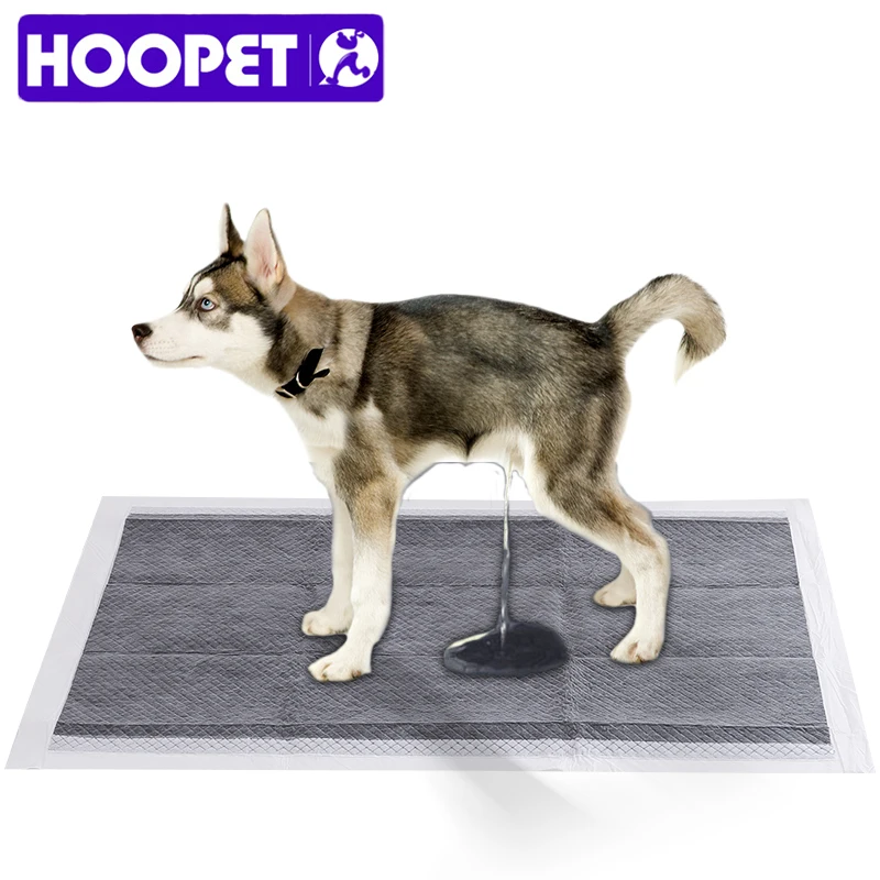 How To Train Puppies To Use A Puppy Pad UK Sale clc.cet.edu