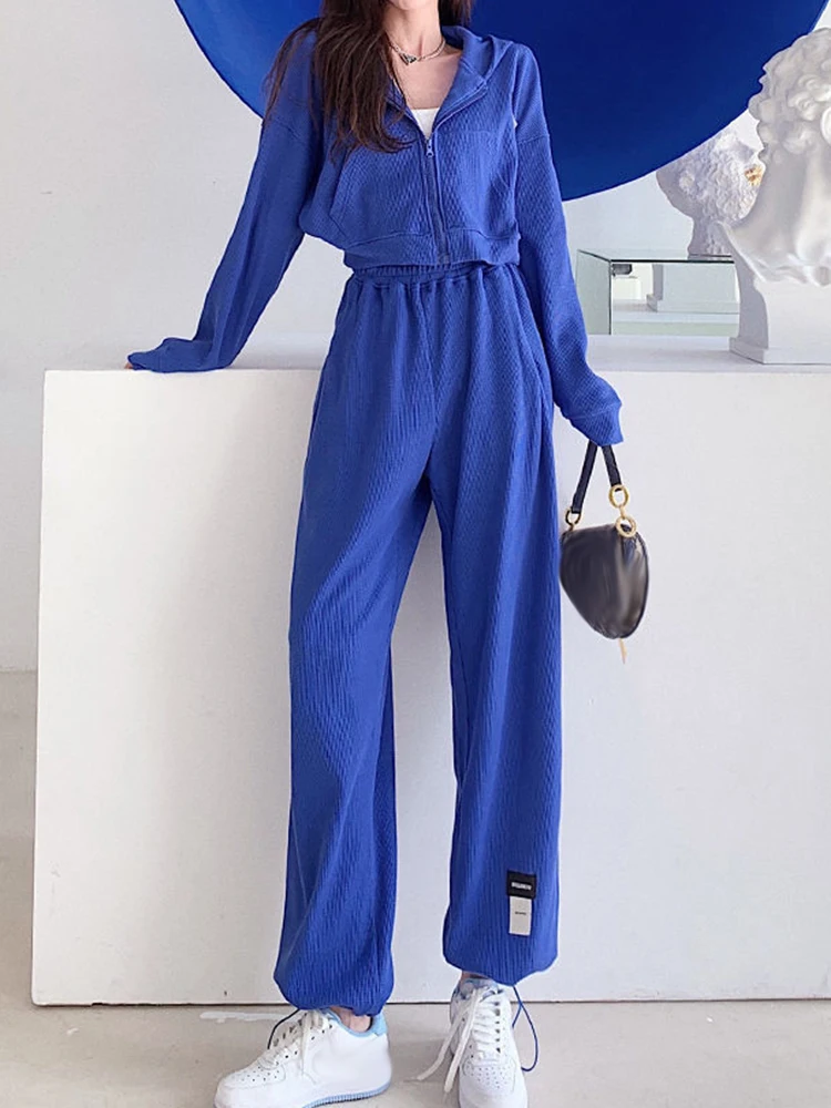 

Fashion Casual Sweatshit Suits Women Short Hooded Jacket With Sports Straight Trousers Sets Solid High Waist Loose Two-piece Set