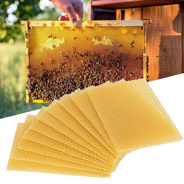 10PCS Bee Wax Foundation Bee Hive Wax Frames Base Sheets Bee Comb