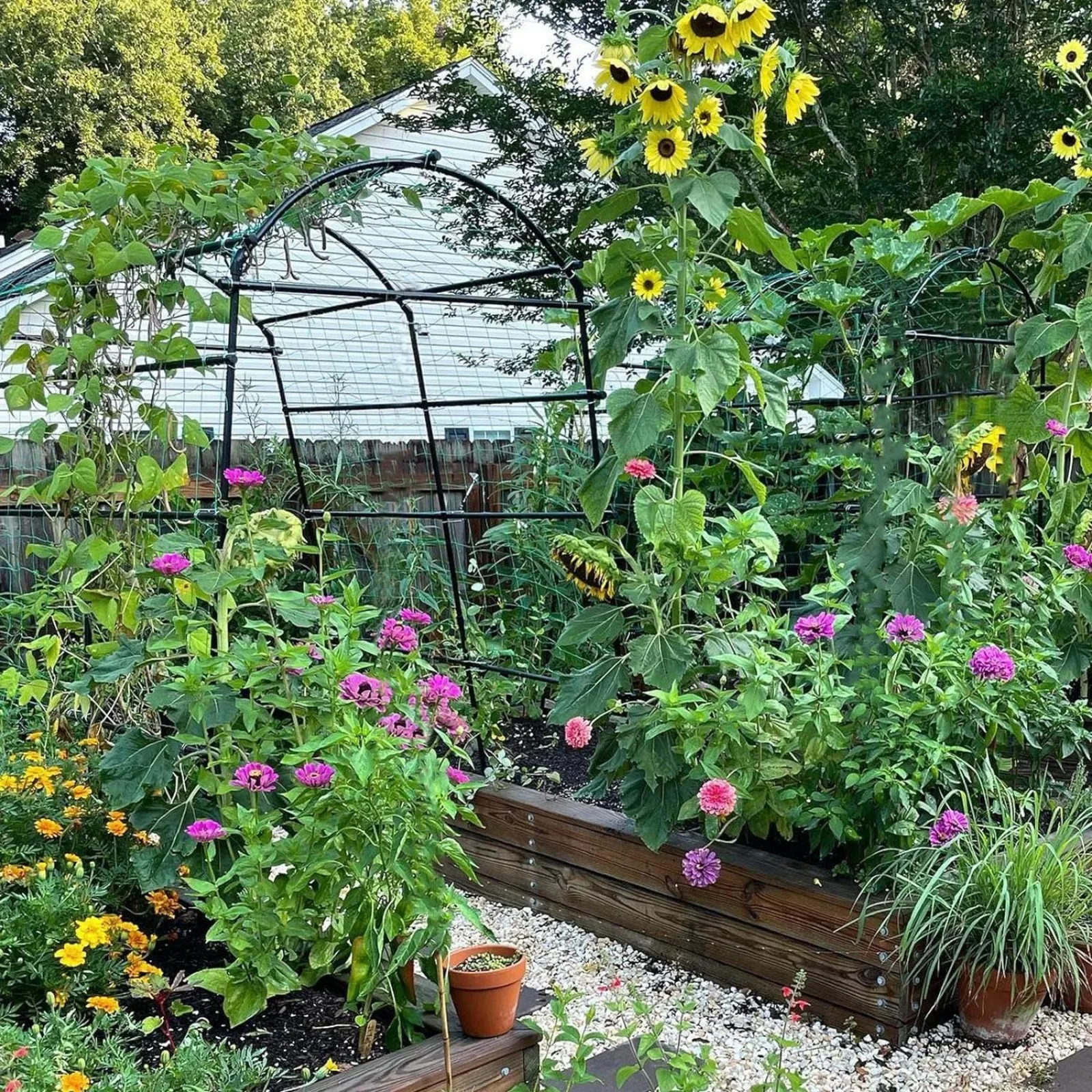 US Garden arch trellis for climbing plants outdoor, 7.8 ft Tall PE-Coated Steel Walkway Trellis, Arched Arbors Tunnel Trellis