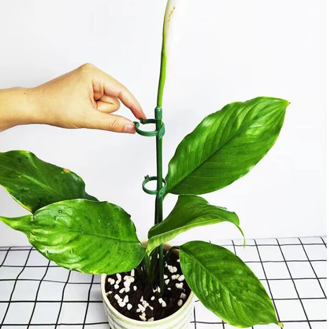 Kerti Növény Cserepes Támogató Virágállvány Tartó Tétes Állvány Rögzítő Szerszám Kertészeti Készletek Szár Cserje Orchidea Bonsai -Hoz - Image 3