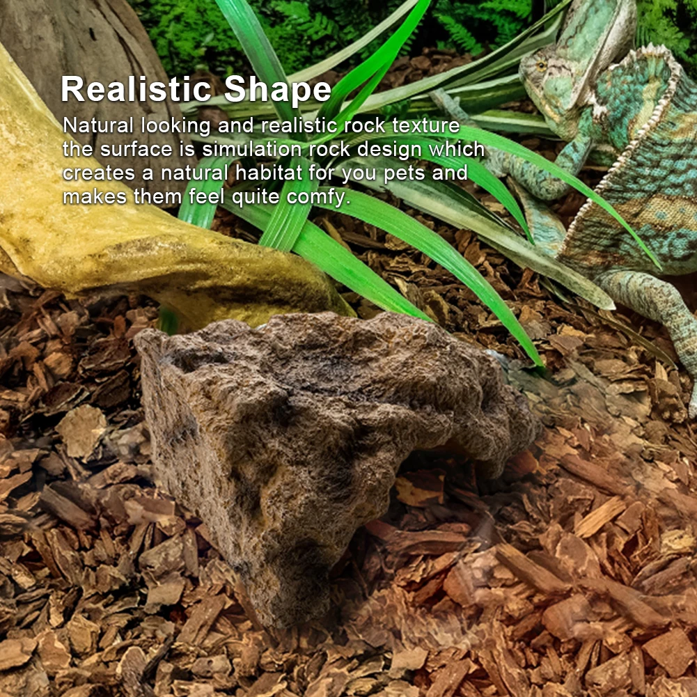 rock-reptile-amphibian-cave-sapiens-pets