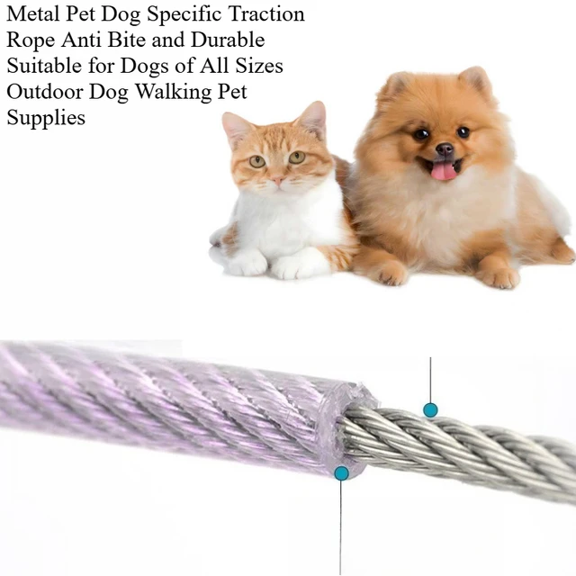 New Metal Pet Dog Specific Traction Rope Anti Bite and Durable Suitable for Dogs of All Sizes Outdoor Dog Walking Pet Supplies 5