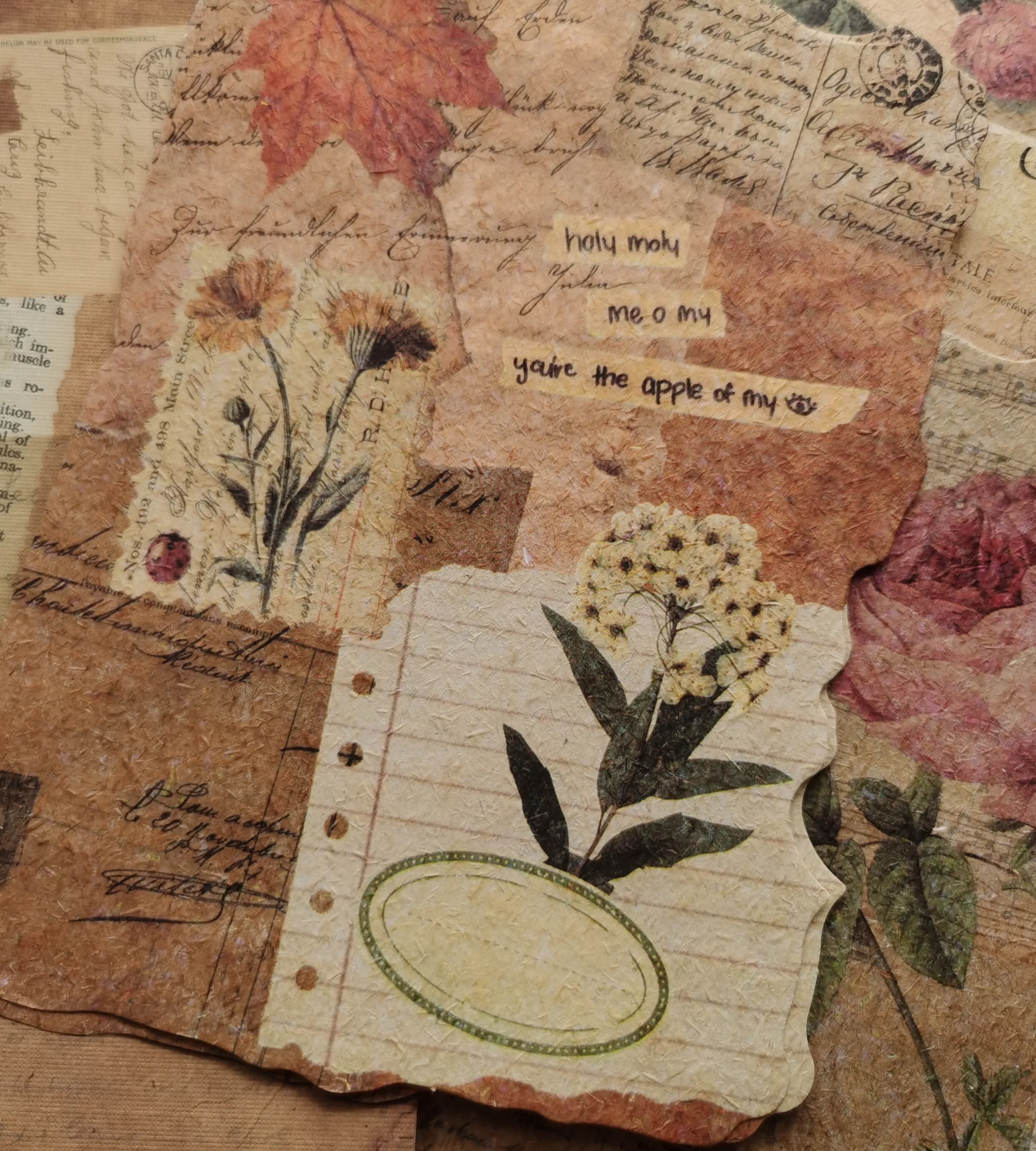 60 Ʈ Ʈ ݶ ø Ƽ     Ѿ θ Scrapbooking   