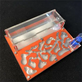 Acrylic Test Tube Ant Farm 1
