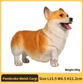 Pembroke Welsh Corgi