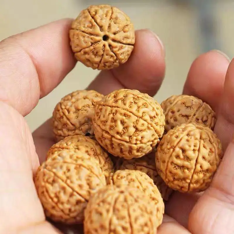 

Corpulent Deep Qingyuan семена мужской большой Rudraksha Будда брикет девять лепестков