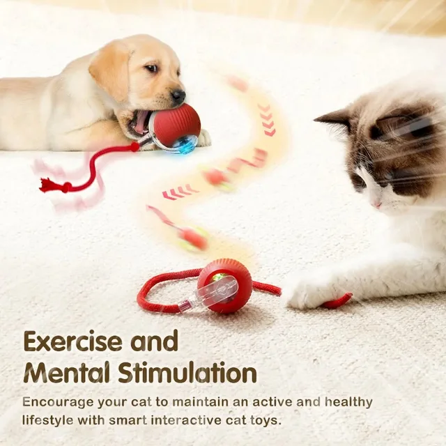 Interactive Dog Toys Rechargeable Pet Interactive Toys Electric Cats Ball Automatic Rolling Fake Tail Ball Dog Cats Toy 4