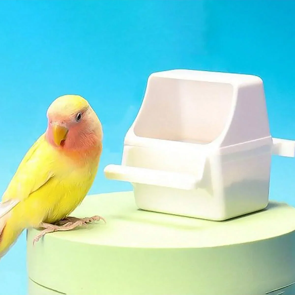 Hanging Bird Feeders for Cage Plastic Food Container with Perch for Parakeets