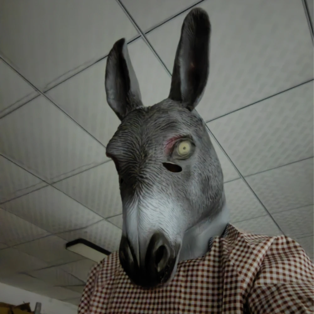ȸ 糪 ũ, ҷ ũ Ÿ ǽ     ִ   Ǯ  ũ, 뺧Ƽ Ƽ ؽ ũ