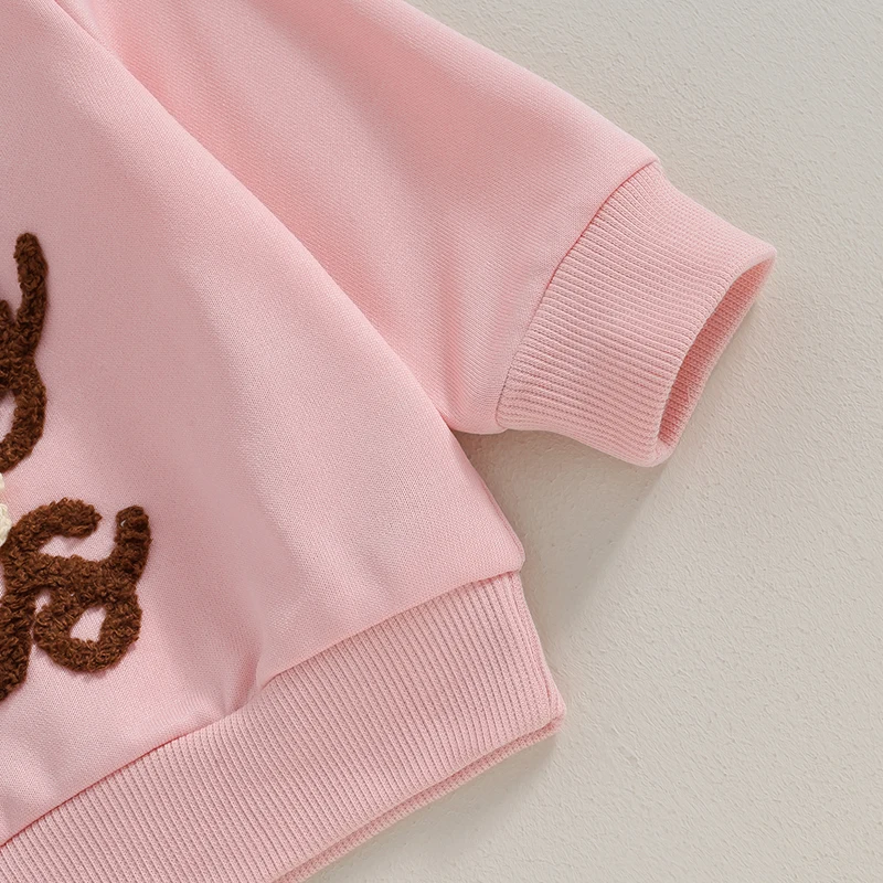 Toddler Kids Baby Girls Sister Matching Outfits Flower Letter Embroidery O-neck Pullover Long Sleeve Rompers/Sweatshirts Clothes 5
