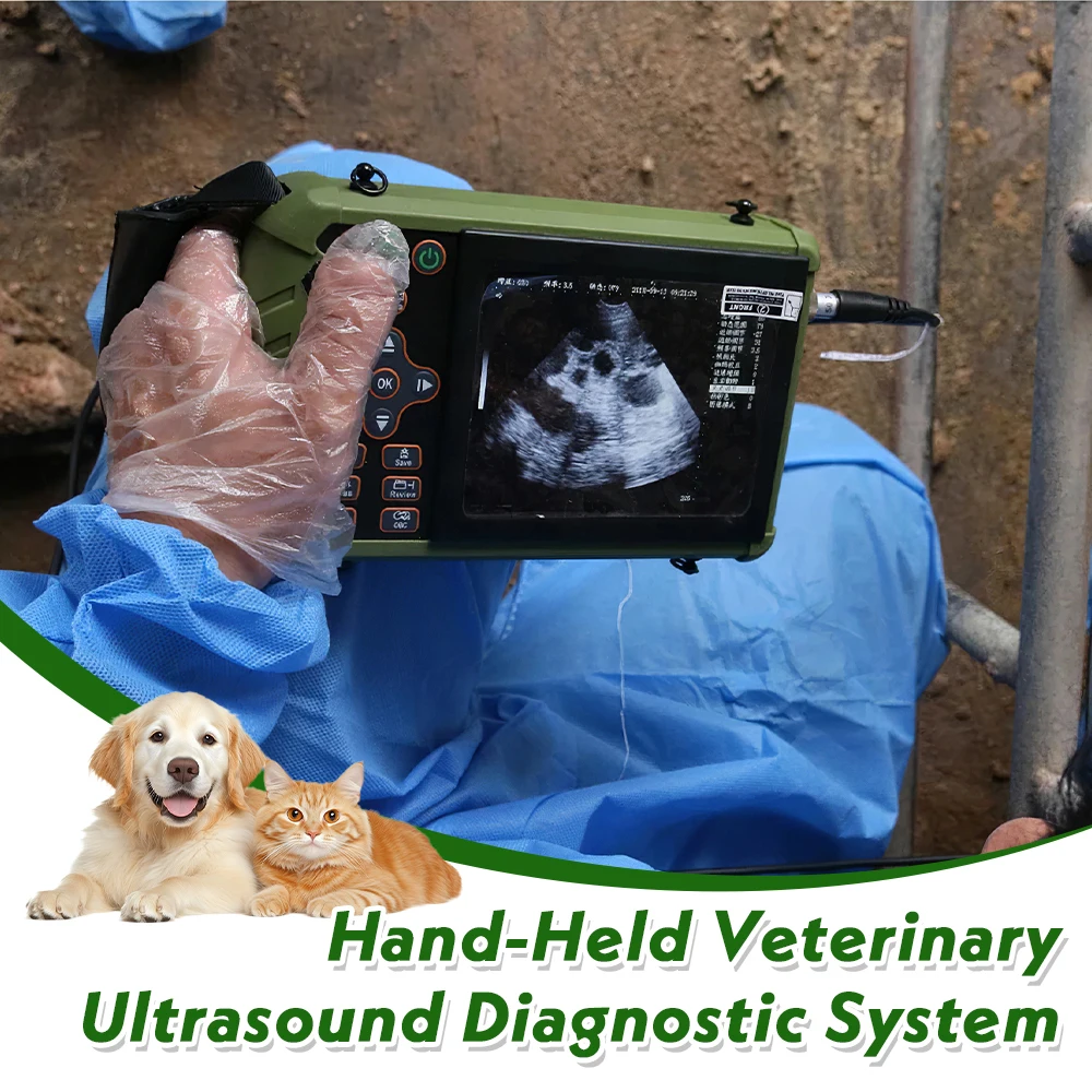 Veterinary Ultrasound Scanner Vet Pregnancy Ultra Machine with 3.5MHz Convex Pro