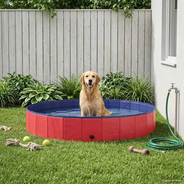 Piscine Red Dog 200 x 30 cm en PVC épais 1