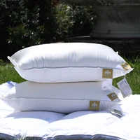 TRIUMPH HILL Hotel Choiceness 100% Down Pillow Core White Goose Down Pillow Core 100% Cotton Help Sleep Can Be Customized Size 1