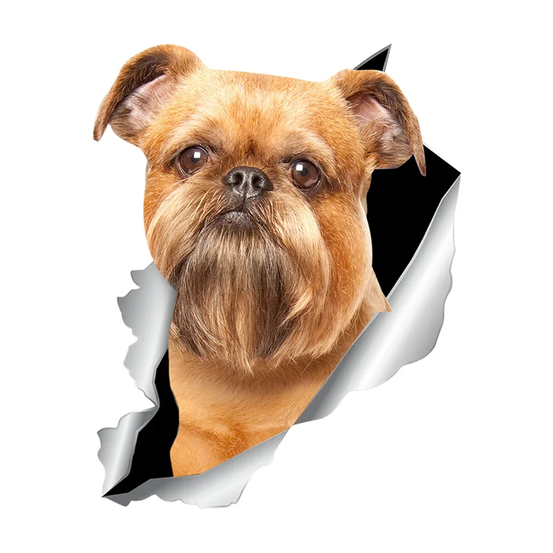 

V1027# Car Sticker Brussels Griffon Dog Pet Animal Waterproof Vinyl Decal Car Accessories Decor Pegatinas Para Coche