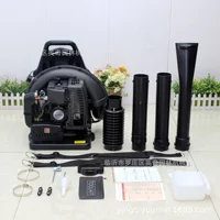 Fiber Snow Blower EB650 Two Stroke 1E48FP Engine Backpack Leaf Blower Garden Power Tools 63.3cc Portable Gasoline Air Blower 1