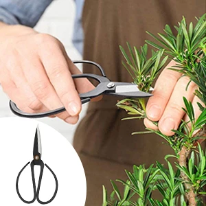 bonsai tool set