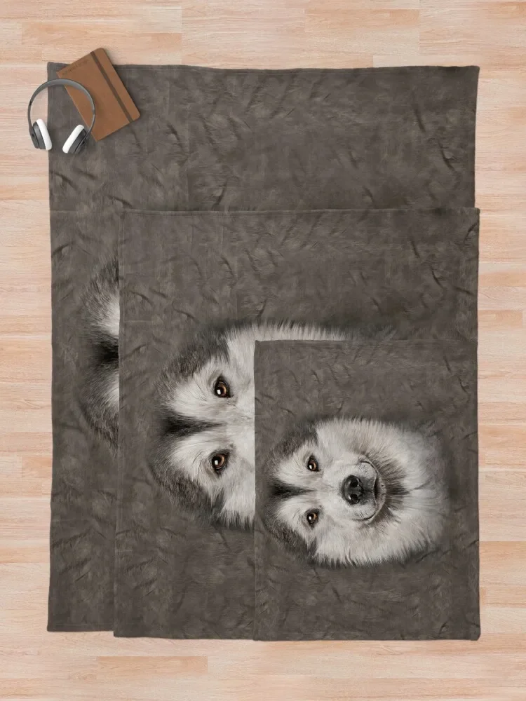 ���� ���� �˷���ī �����Ʈ �� 3D ���� ������ ���, �ö��� ���� ���ſ� ���