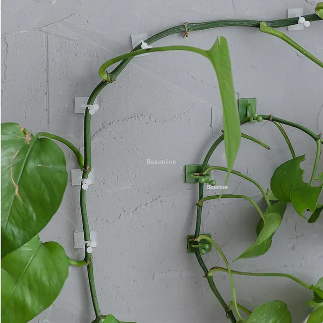 50 db Növényi Mászó Fali Szőlő Klipek Rögzített Csat Horog Kültéri Kerti Növény Fal Hegymászás Ön Adagoló Rögzítőeleme - Image 5