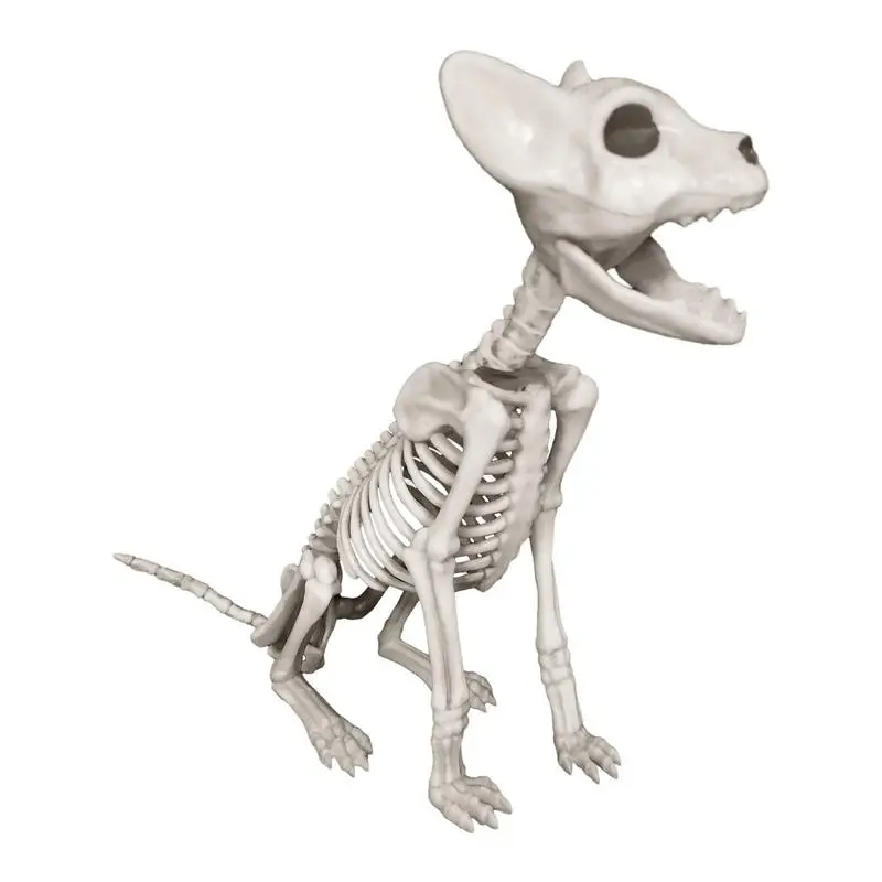 

Halloween Cat Skeleton Pose Skeleton Prop For Halloween Party Supplies Realistic Size Halloween Party Supplies Party Decor For