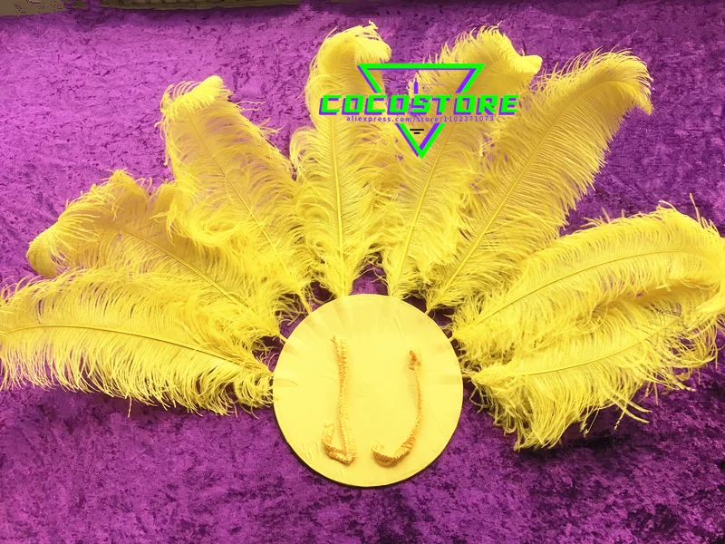 Brazil Carnival Costume Feathers Carnival Dance Costume Feather