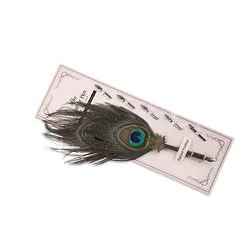 Elegant English Calligraphy Feather Dip Pen Stationery Gift Set with Quill and Fountain Pen (K)
