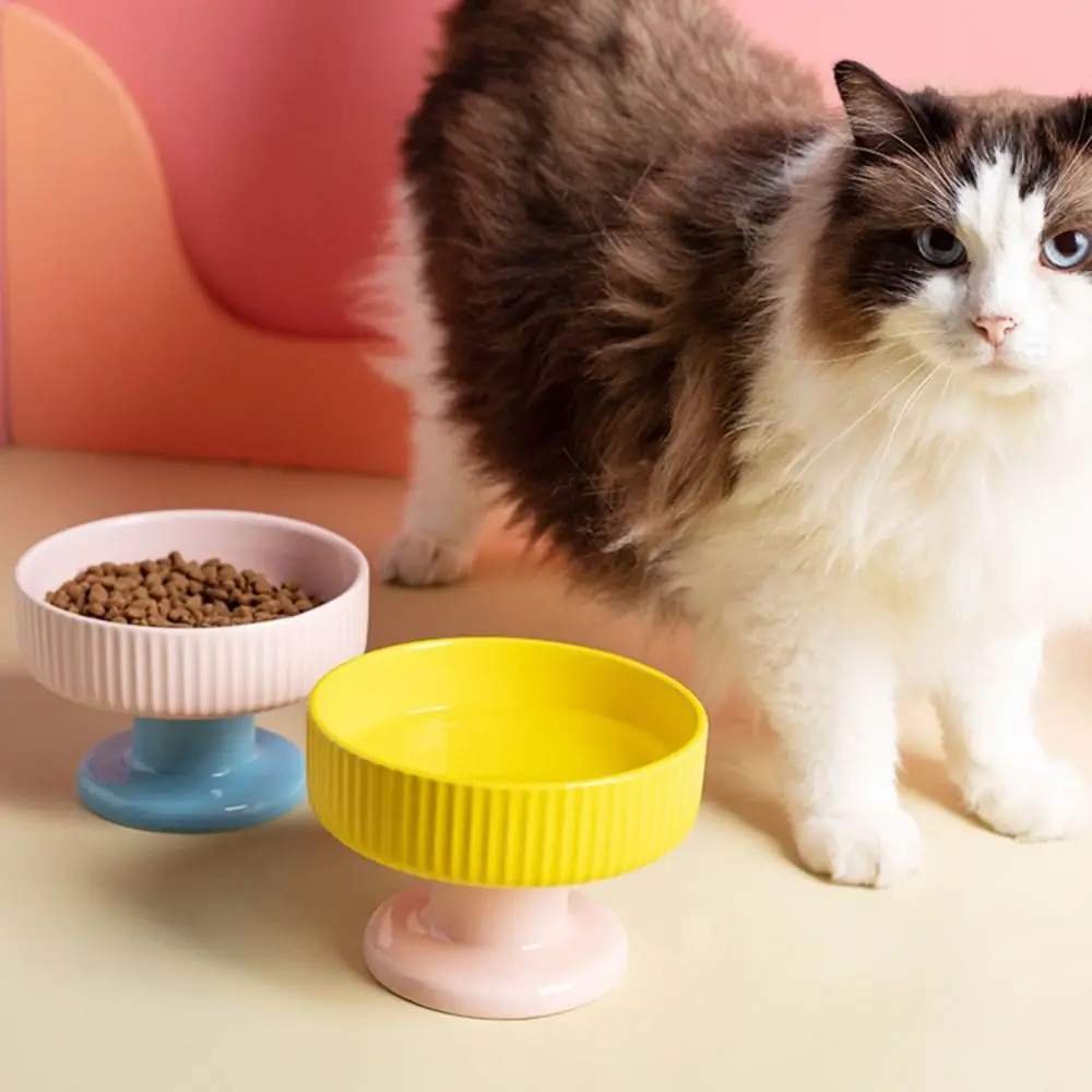 Dopamine Color Cat Bowl Creative Cute Pet High Footed Cup Bowl Non-slip Anti Tipping Pet Drinking Feeder Water Container