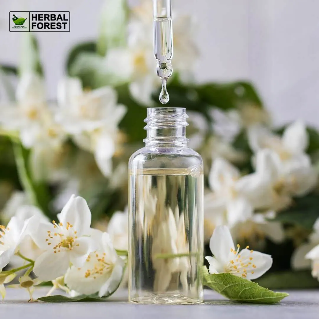 Natural Jasmine Hydrosol Jasmine Floral Water Tender Skin Delicate Pores Firm Elasticity Brighten Skin Tone Essence Toner essence jasmine