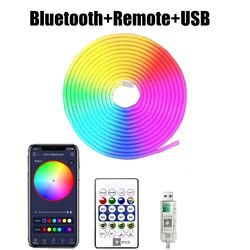 Vibrant Bluetooth-Controlled RGB Neon Light Strip - Waterproof, USB-Powered, Flexible Design - 5M (RGBIC)
