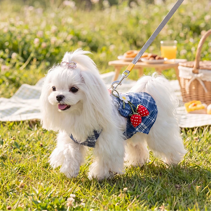 여름 데님 강아지 드레스 도트 무늬 리본 애완견 멜빵 고급 강아지 옷 고양이 의상 치와와 비숑 요키 여자 강아지 스커트 청바지 신상품