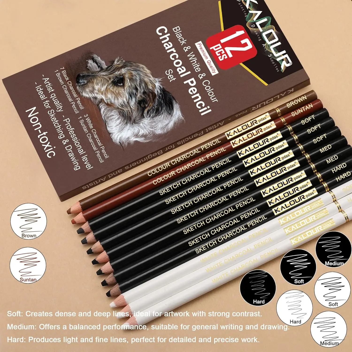KALOUR 6/12 Carbon Pencil Professional White Charcoal Highlight Pencil White/Black/Colour Carbon Sketch Pencil Art Drawing Tools 2