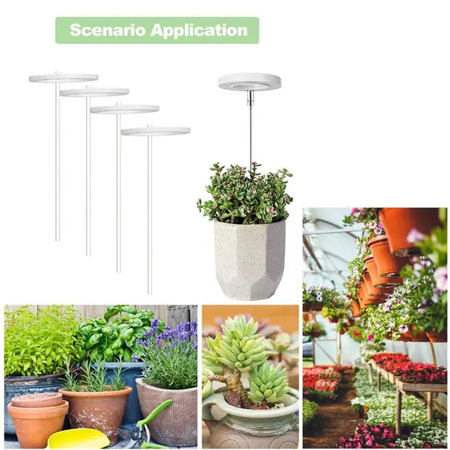 Teljes Spektrum Led Grow Fight 4 Dimmable Fényerő Növelje A Fényt Az Usb Palánták Csírázási Lámpájával Kis Növényekhez - Image 2