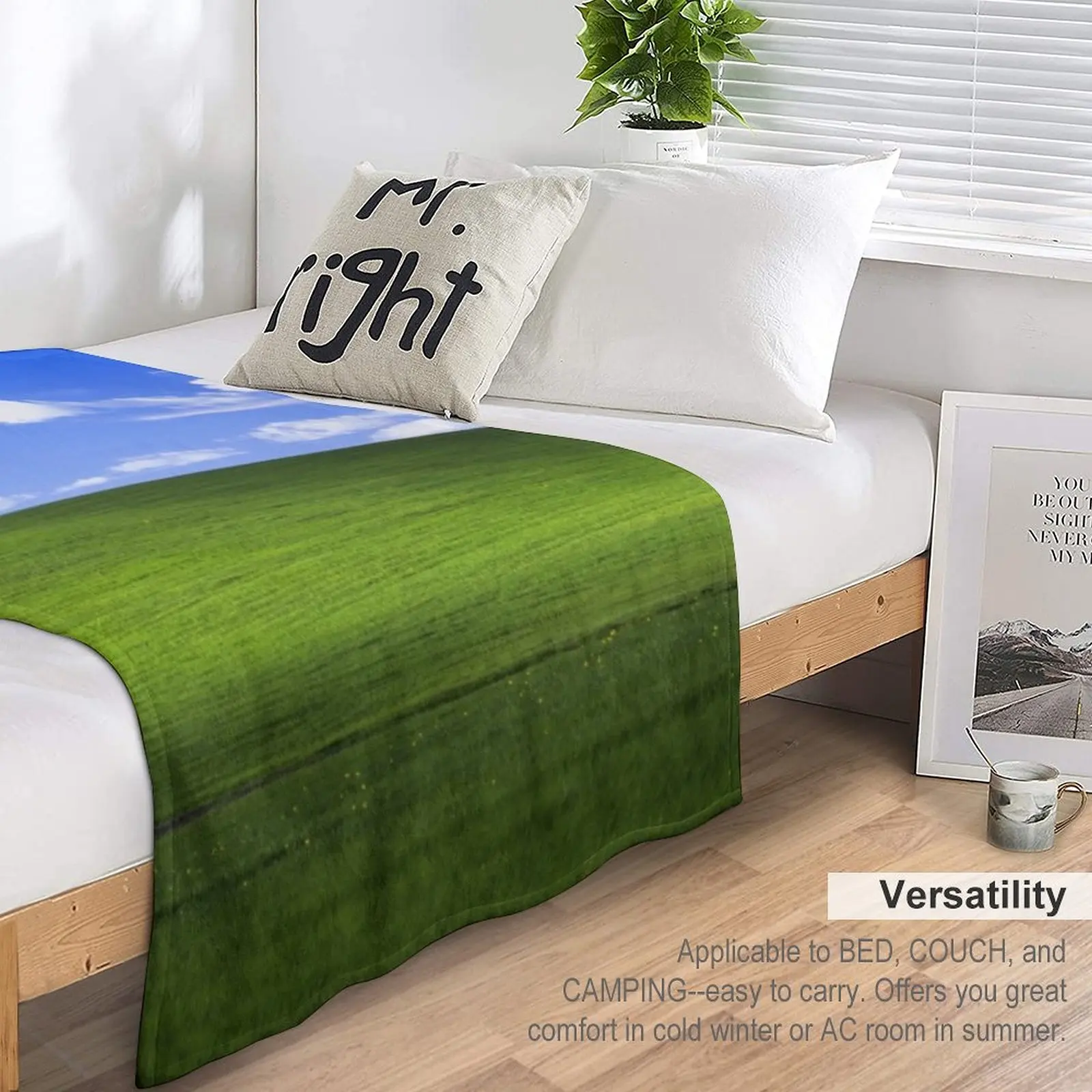 �ູ�� �ʵ� ���ο� ���, ��ũ�� ���,  ��� ħ�� ���, ��Ʈ�� ���