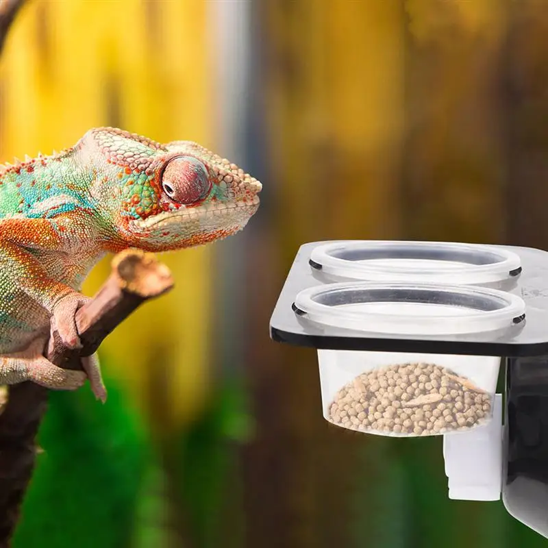 Reptile Tank Feeders Suction Cup Feeders Feeding Bowls Food Water Dishes Terrarium Breeding Box Pets Supplies