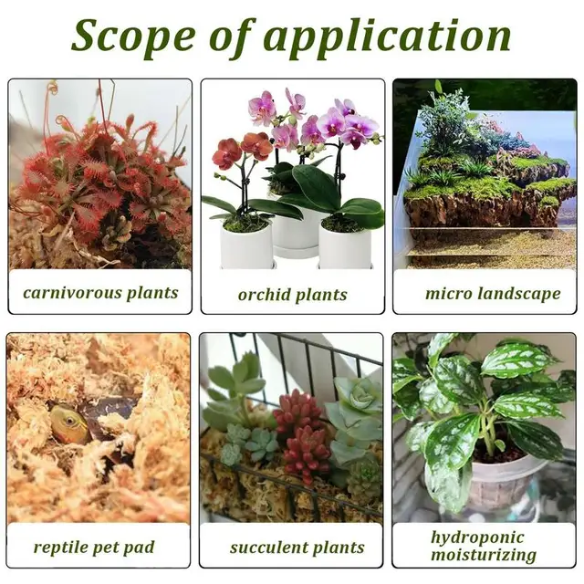 Természetes Sphagnum Moha Orchidea Szárított Hidratáló Táplálkozási Szerves Műtrágya A Phalaenopsis Cserepes Keverékhez - Image 2