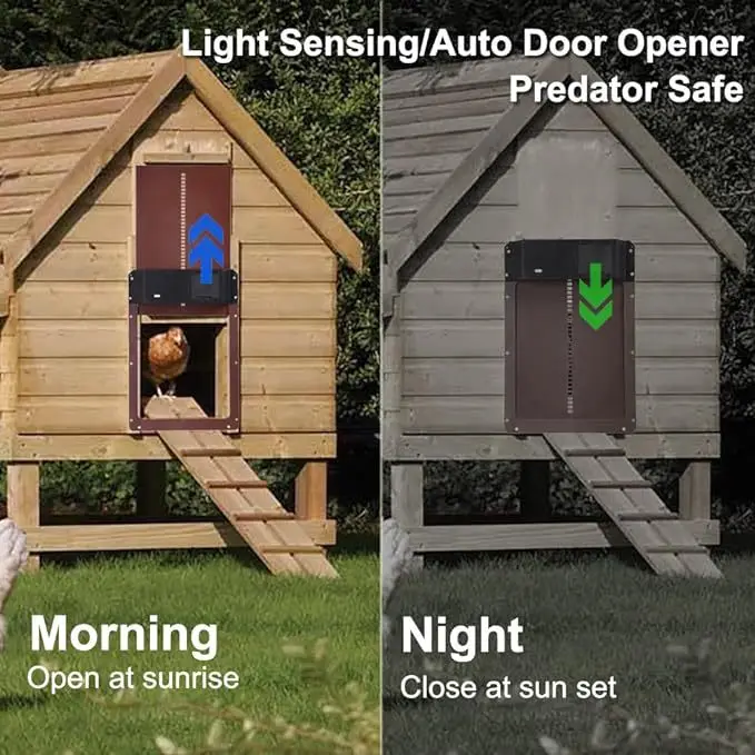 Auto Coop Door 5