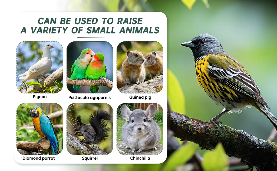 convenient for you to attach it firmly to the side of the bird cage,easy to place and remove