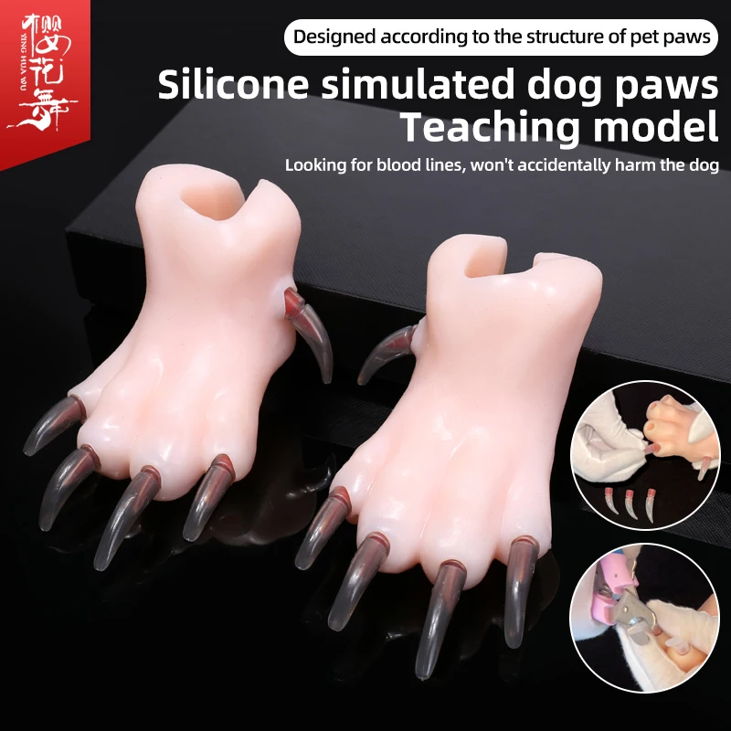 Silicone Simulation Dog Paw Teaching Model Pet Beauty School Practice Cutting Dog Nails