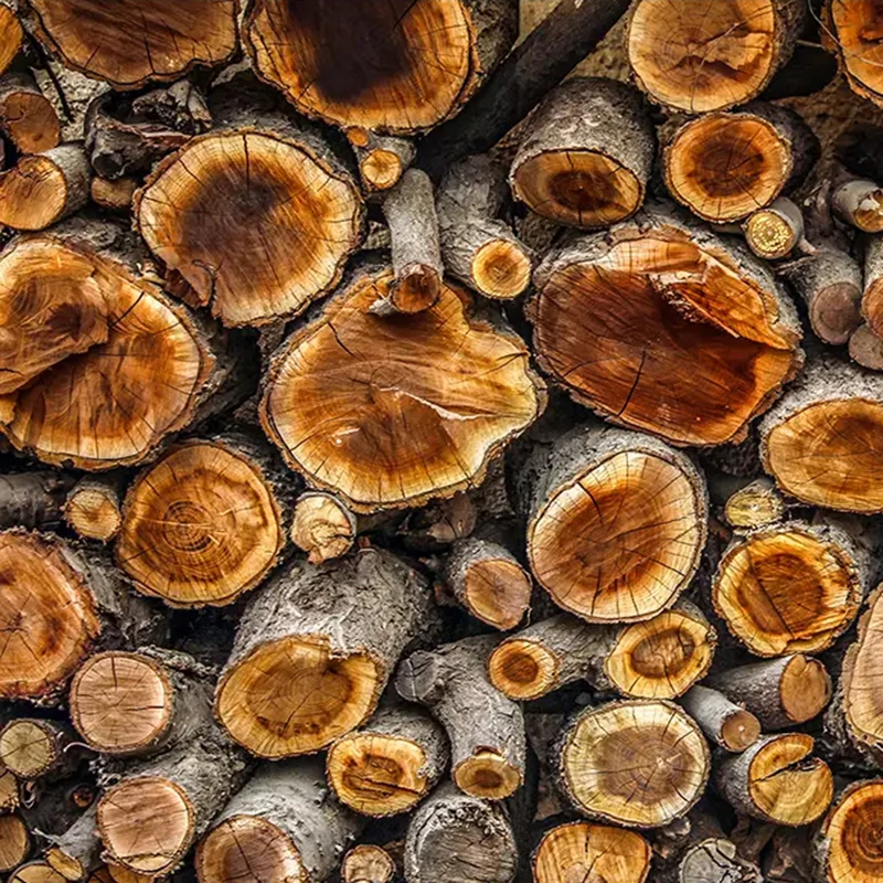 renovacao da casa 03