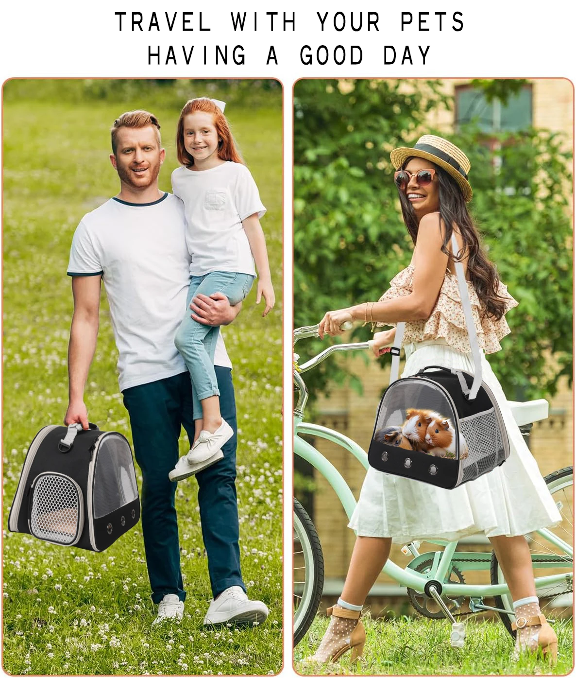 Pet Carrier
