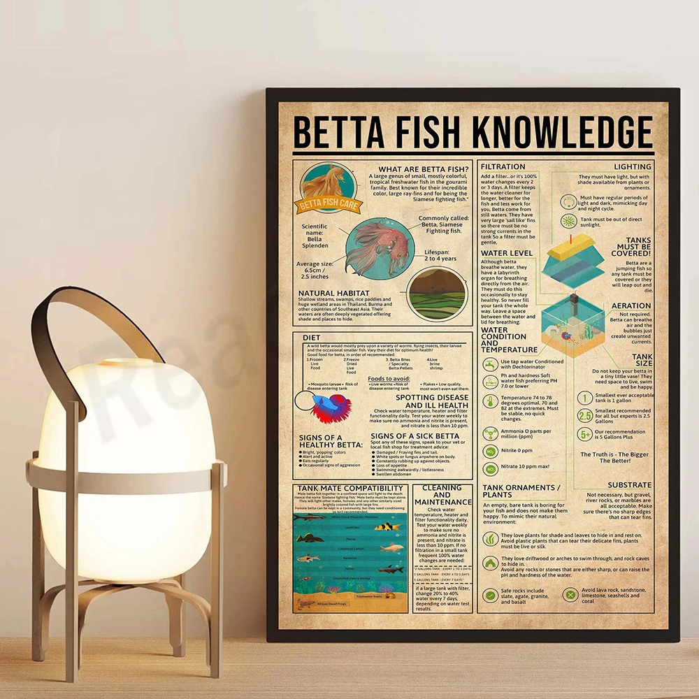 Betta Fish Knowledge Poster, Betta Fish Art, Tutto Su Betta Fish, Knowledge Retro Poster, Decorazione Da Parete Educativa