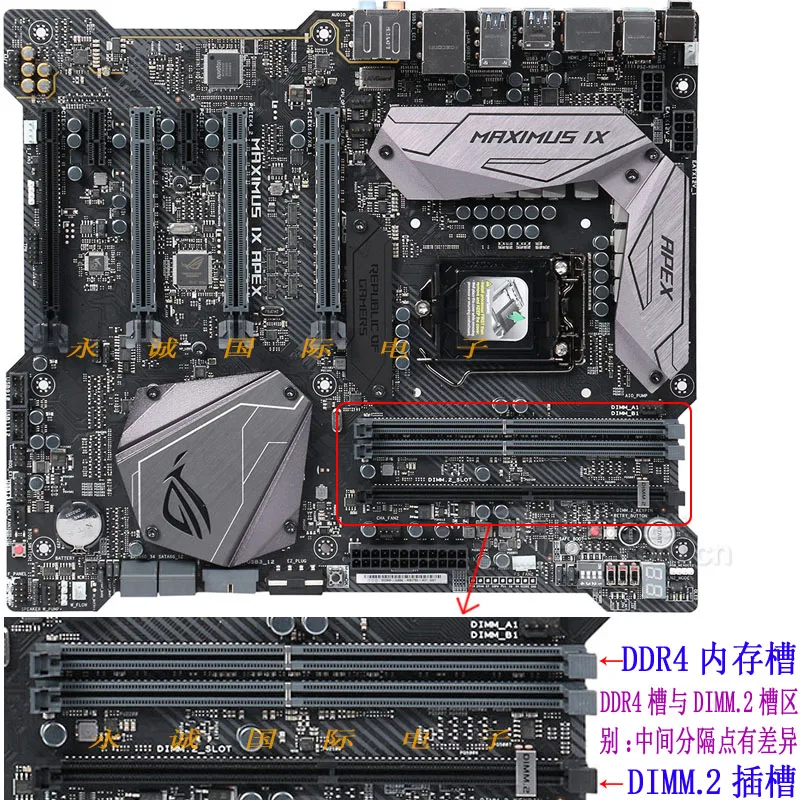 Adaptateur DIMM.2 Pour ASUS ROG - 2 Ports M.2 PCIe NVMe - Modèle H5