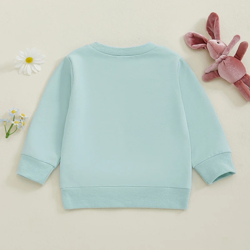 Toddler Baby Girl Boy Sweatshirt Easter Clothes Kids Bunny Embroidery Crew Neck Long Sleeve Pullover Casual Tops for Infant 1-4Y