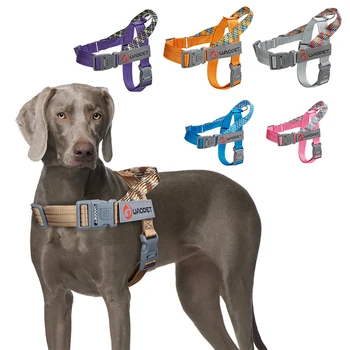 Colorful Dog Safety Harness 1