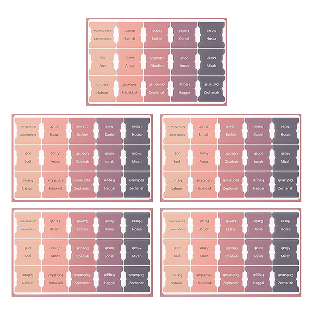 5 Sheet Bible Index Tabs Easy Read Bible Book Tabs Large Print Laminated Study Supplies Decorative Label Study Tool