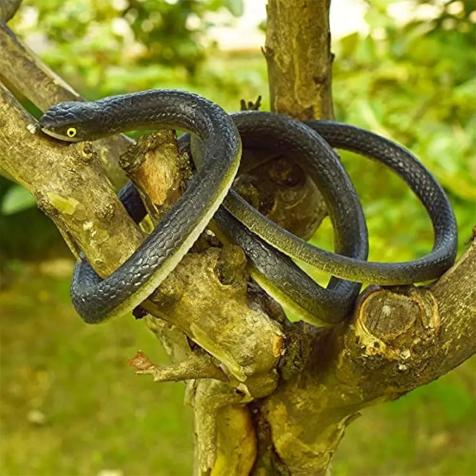 Serpente Scherzo In Gomma Realistico Con Clip E Corda | 1,2 Metri | Per Golf, Halloween E Feste